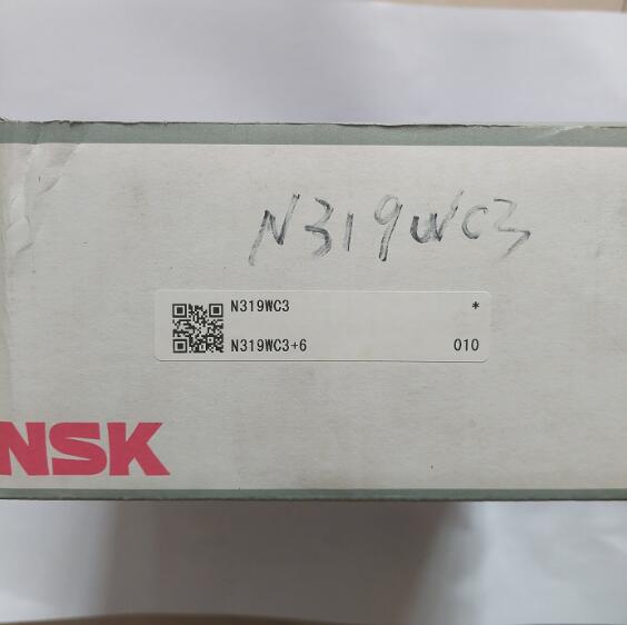 NSK N319WC3