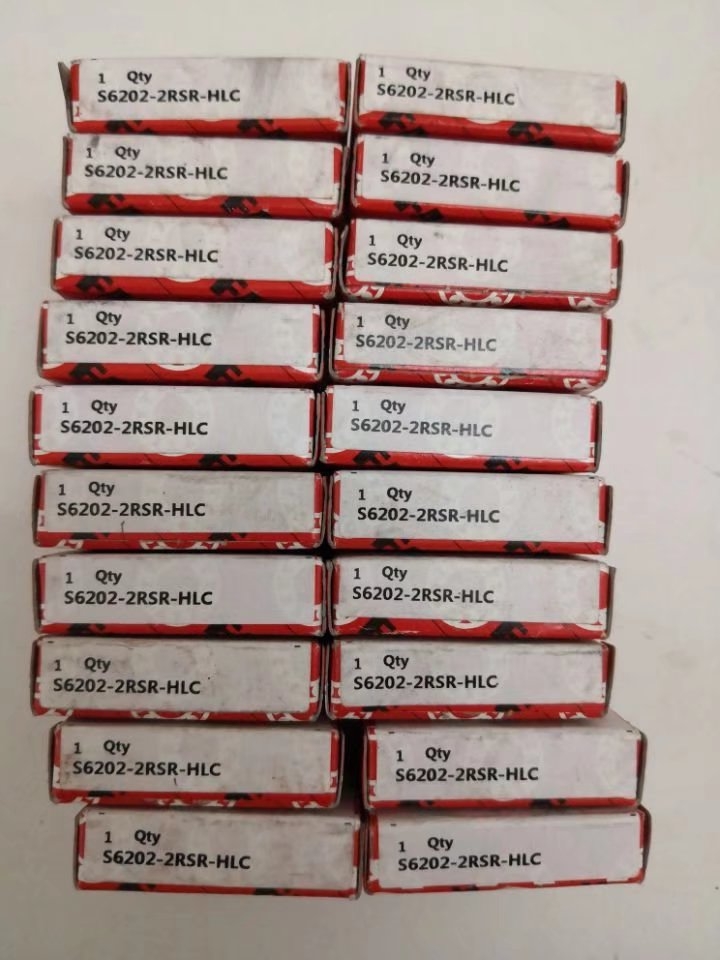 FAG S6202-2RSR-HLC