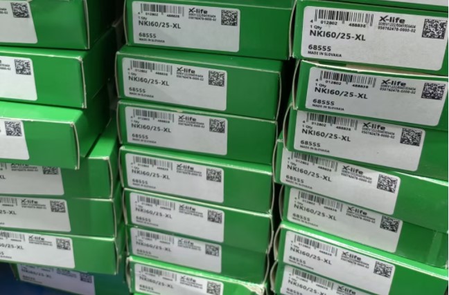 INA NKI60/25-XL