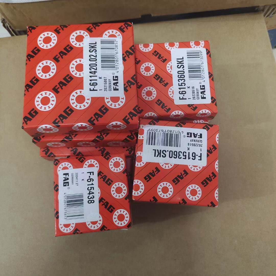 FAG  F-611420.02.SKL F-615360,SKL F-615438.SKL