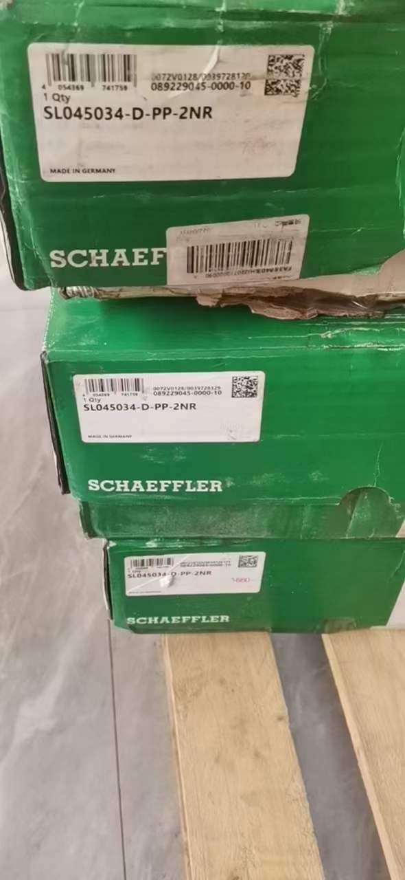 INA SL045034D-PP-2NR