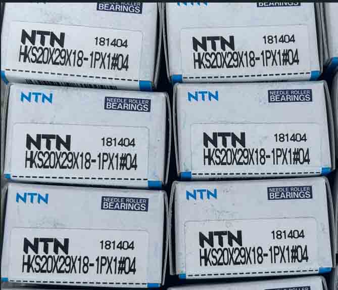 NTN  HKS20X29X18-1PX1