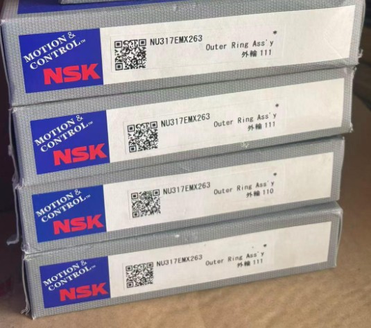 NSK  NU317EMX263