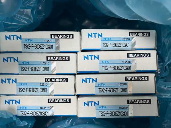NTN  TSX2-F-6008ZZ1C3